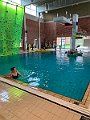 IMG_7961