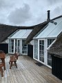 IMG_8014