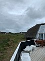 IMG_8015