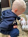 IMG_7404