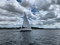IMG_7817
