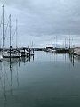 IMG_9234