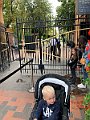 IMG_8288