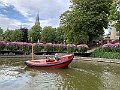 IMG_8379 (2)