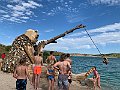 IMG_8421