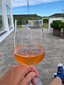 IMG_8439 (2)