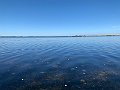 IMG_8785