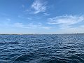IMG_8892