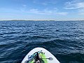 IMG_8895