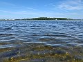 IMG_8907