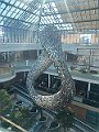 IMG_8954