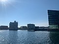 IMG_8964