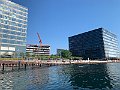 IMG_8973