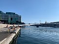 IMG_8974