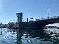 IMG_8975