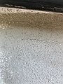 IMG_8728