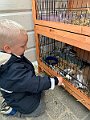 IMG_0452