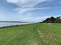 IMG_0478