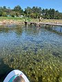 IMG_0501