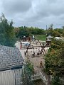 IMG_0660