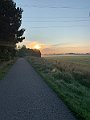 IMG_0546