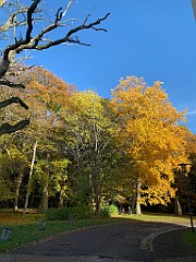IMG_1425