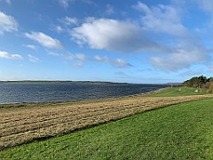 IMG_1664