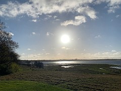 IMG_1665(1)