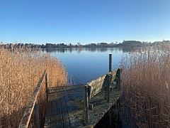 IMG_1698(1)