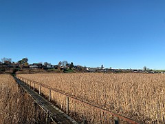 IMG_1702