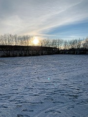 IMG_2718(1)