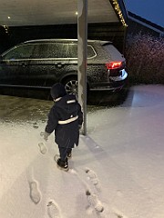 IMG_2432(1)