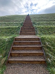 IMG_2916(1)