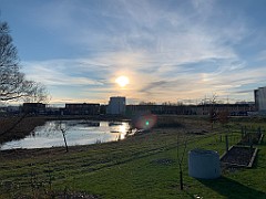 IMG_2410(1)