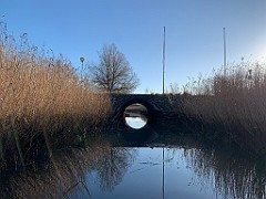 IMG_2573(2)