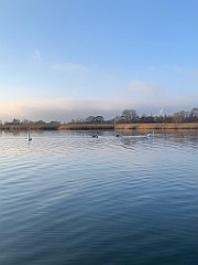 IMG_2380(1)