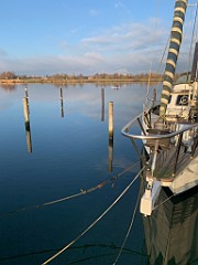 IMG_2390(2)