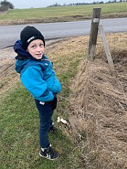 IMG_3952