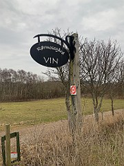 IMG_3953