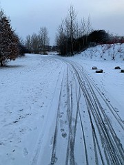IMG_3404(1)