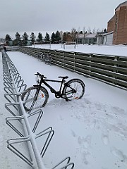 IMG_3707