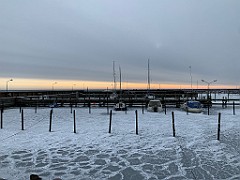 IMG_3678(1)