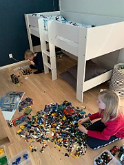 IMG_3603(1)