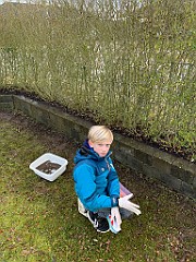 IMG_3803