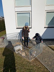IMG_3863