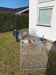 IMG_3864