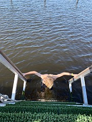 IMG_4837