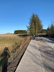 IMG_4409