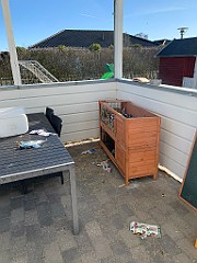 IMG_4656