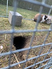 IMG_4858